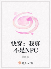 촩治NPC