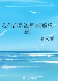 我们都是流星雨[娱乐圈]