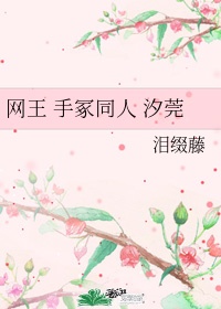 网王 手冢同人 汐莞